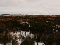 IMG_4290